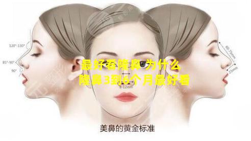 最好看隆鼻 为什么隆鼻3到6个月最好看
